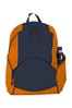 Navy / Burnt Orange