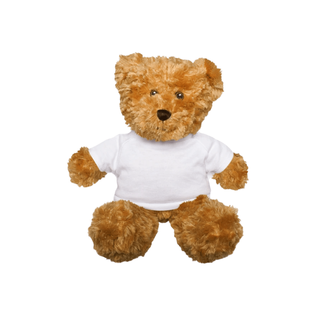 Teddy Bear for