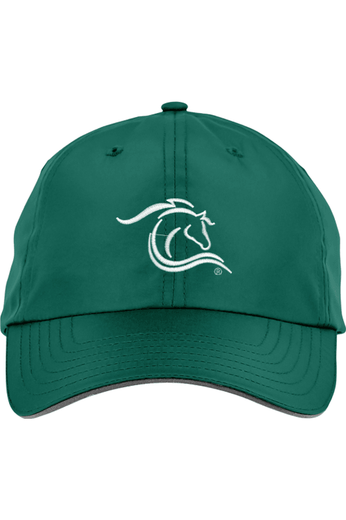 CORE365 Adult Pitch Performance Cap for