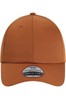 Buckthorn Brown