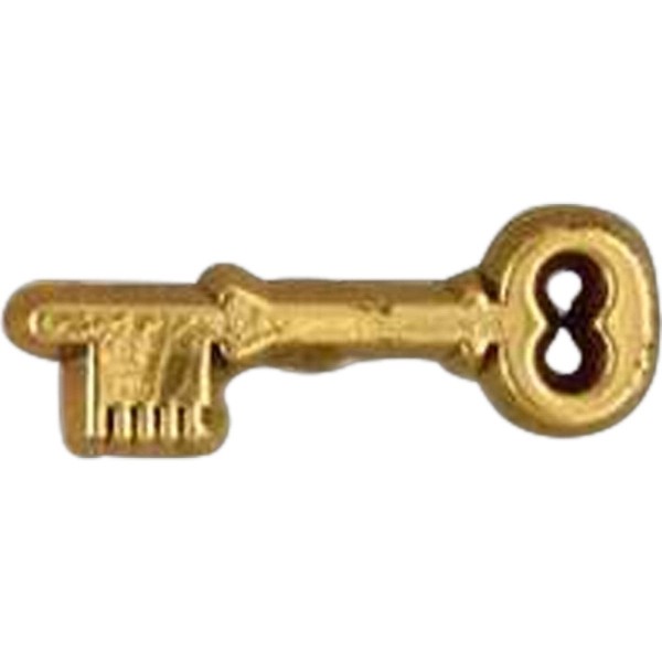 Plastic Key Shaped Pin for