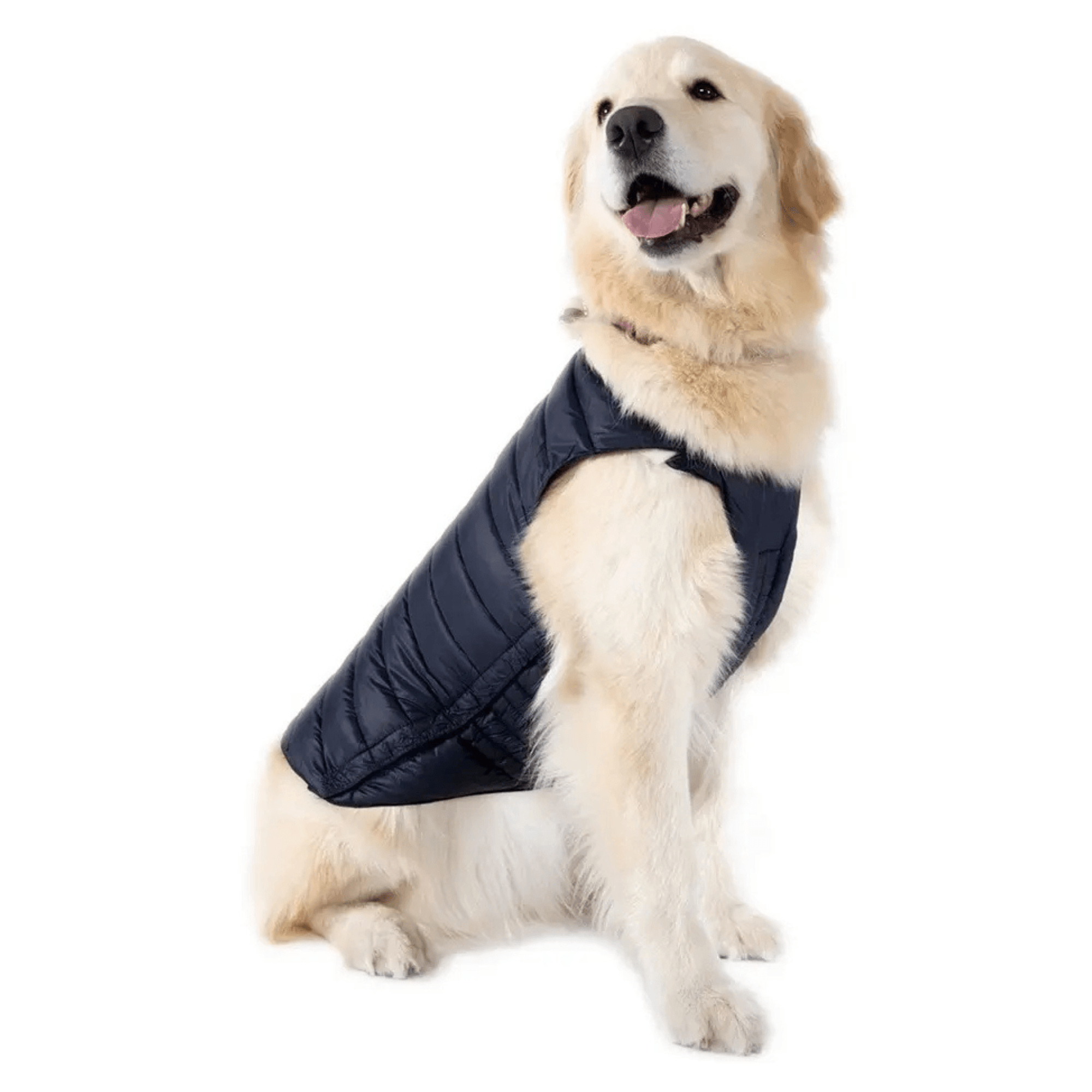 Pet Vest for