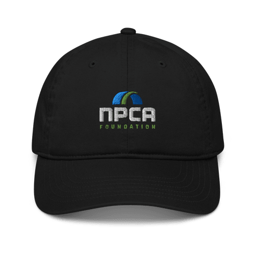 Organic Baseball Cap for