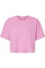 Faded Powder Pink