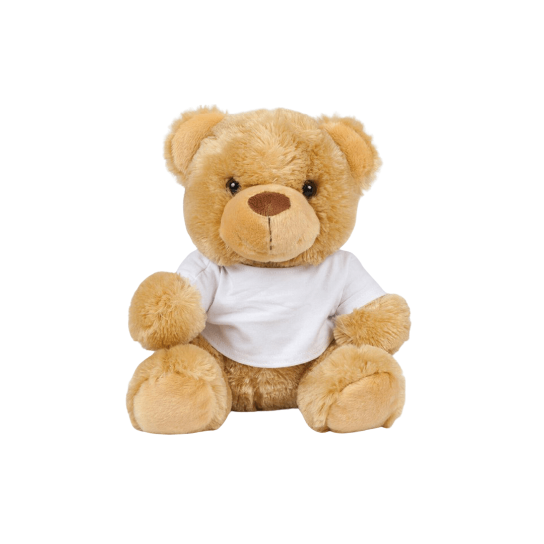 Bear in a T-Shirt for