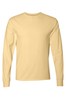 Summer Squash Yellow