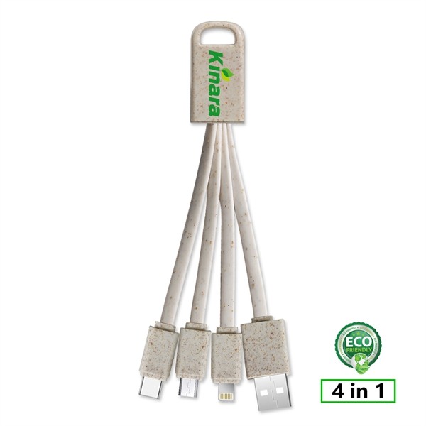 Swain Eco-Friendly 4-in-1 Charging Cable for