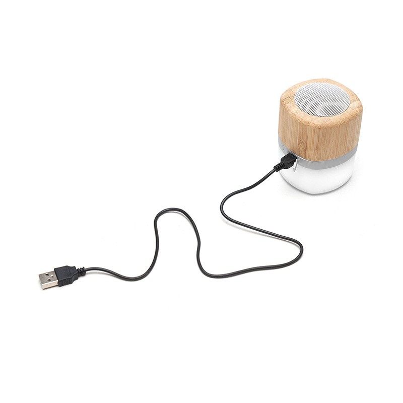 Track Speaker – Eco for