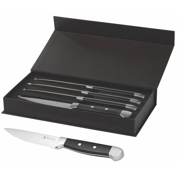 Oneida® Jumbo 4 Piece Steak Knife Set for