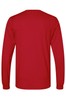 Canvas Red