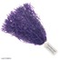 Light Purple 814C
