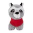 Racoon/Racoon/Racoon