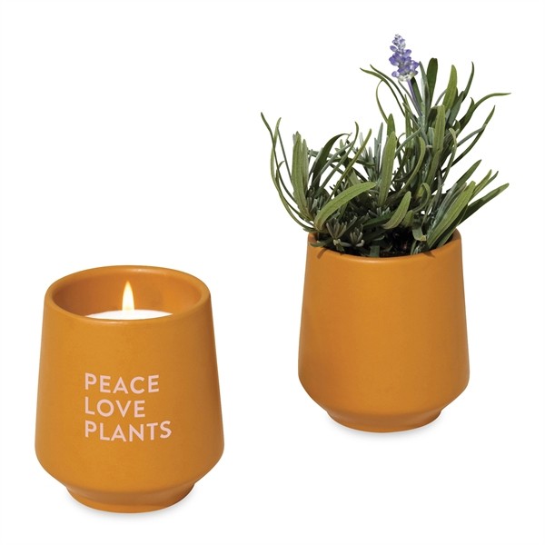 Modern Sprout® Rooted Candle for
