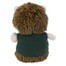 Hedgehog