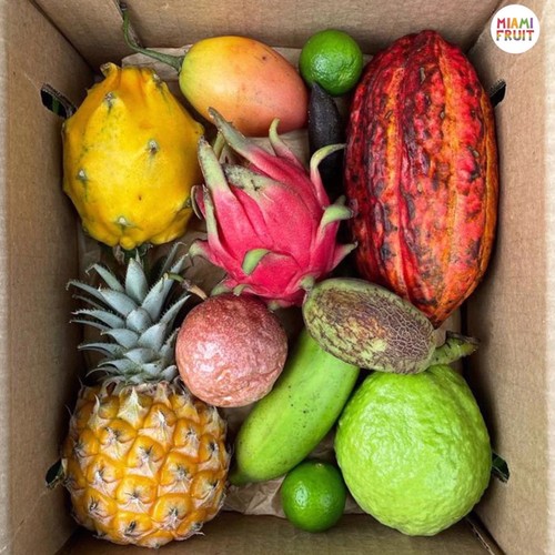Large Variety Box (8-10 lbs.) for