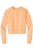 Apricot