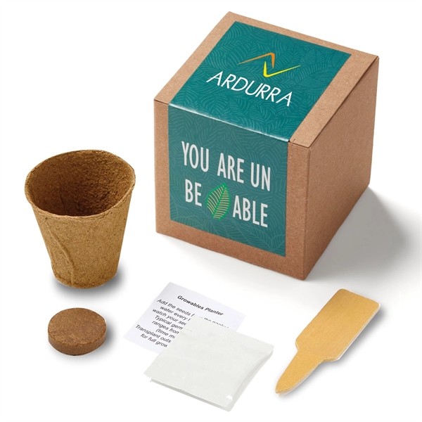 Inspirational Leaf Growable Seed Planter Kit for