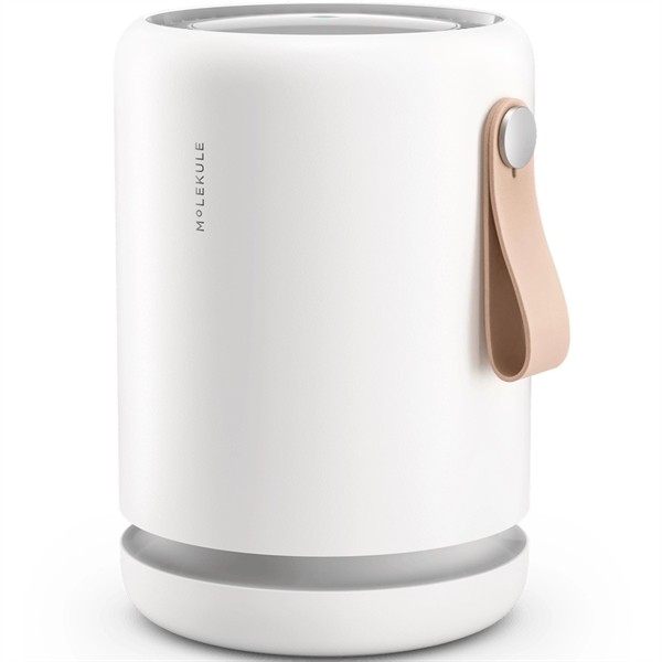 Molekule Air Mini+ Purifier for
