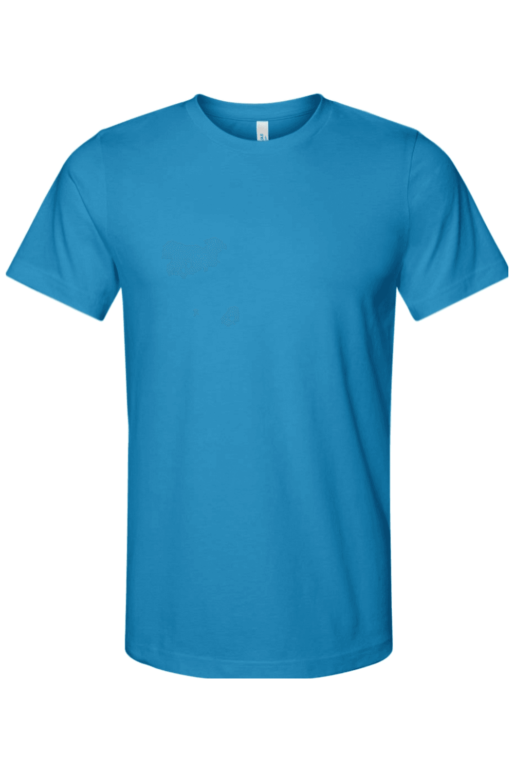 Bella + Canvas Unisex Jersey Tee for
