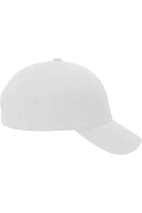 Unionwear Dad Hat