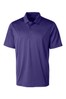 College Purple
