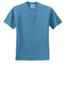 Columbia Blue