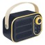 Navy/Gold