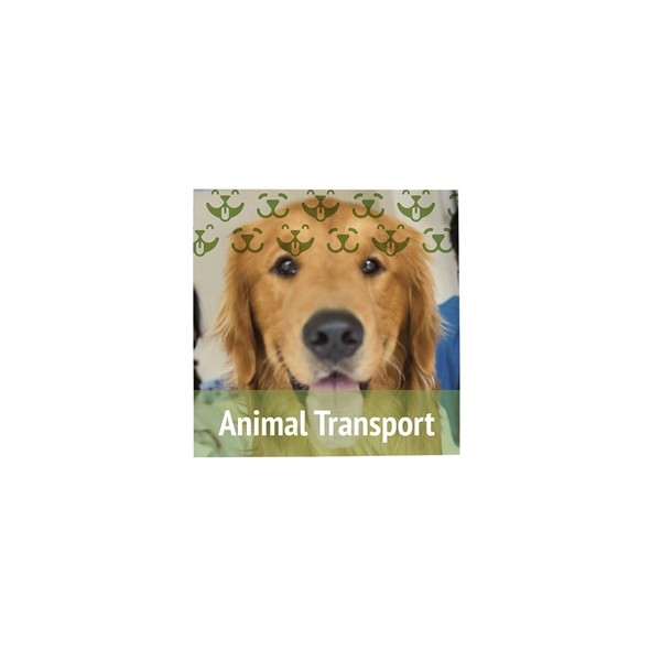 12"x12" Magnet Promo Sign for