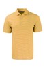 College Gold/White