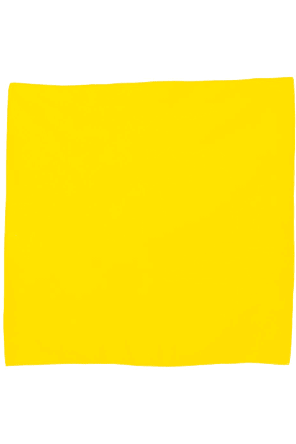 Augusta Sportswear Cotton Bandana for