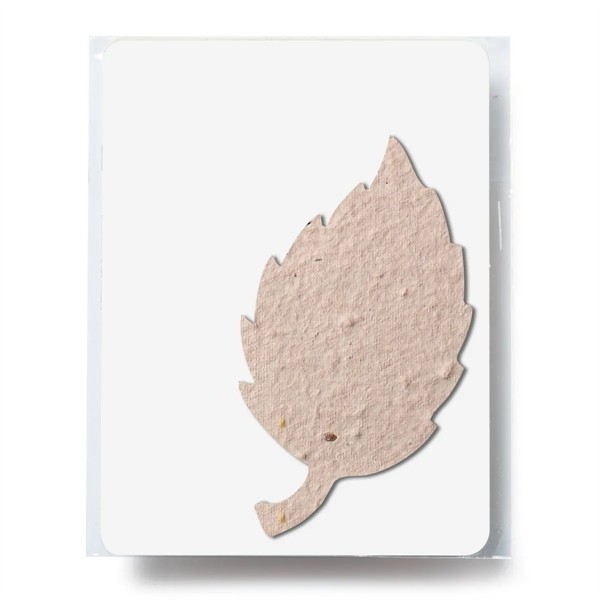 Bloomin® Aspen Shaped Plantable Gift Pack for