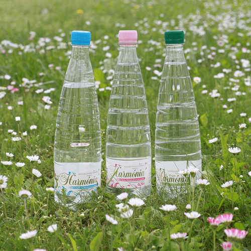 Energizing Spring Water for