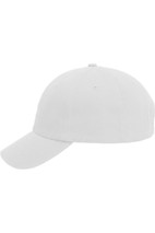 Unionwear Dad Hat