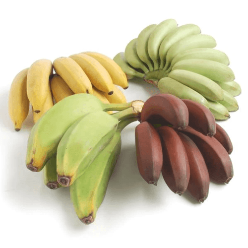 Banana Sampler for