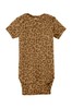 Brown Leopard