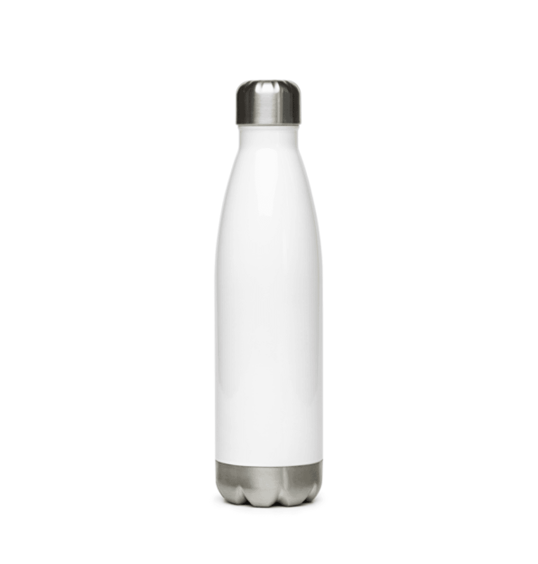 Stainless Steel Bottle for