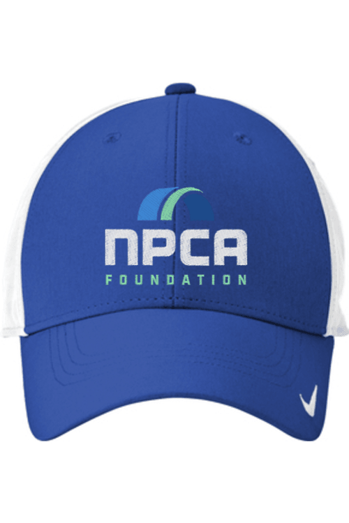 Nike Dri-FIT Legacy Cap for