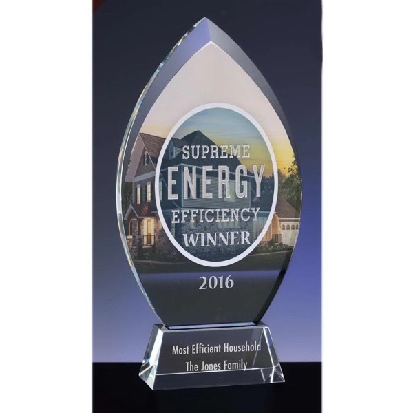 Large Prestige Award for