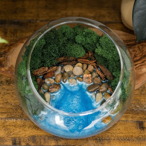 Resin Terrarium Kit for