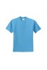 Aquatic Blue