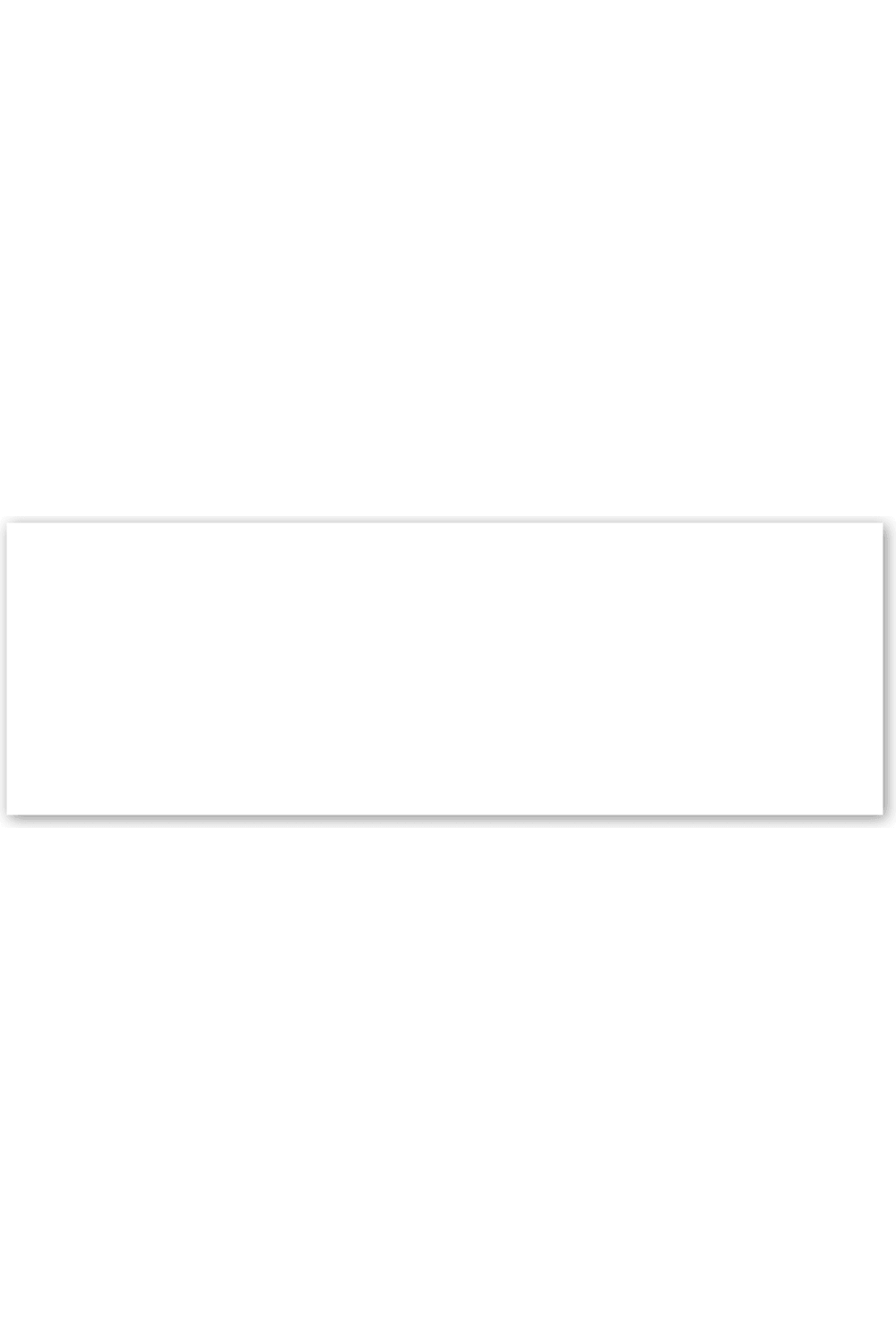 Bumper Magnet 9" x 3" for