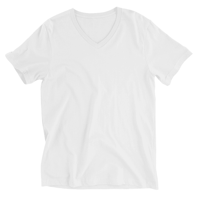 Classic V-Neck T-shirt for