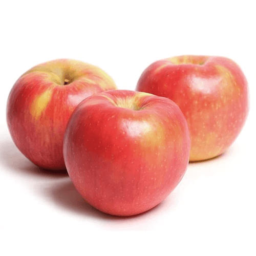 XL Honey Crisp Apples - 8 lbs. for