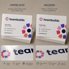 Professional 16pt Business Cards