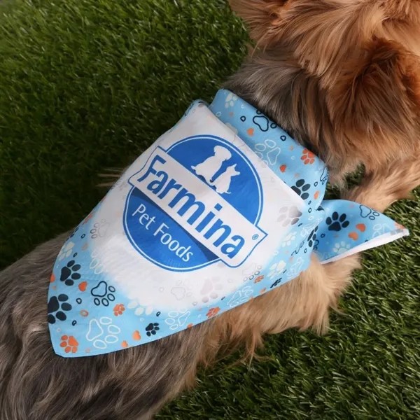 Sublimated RPET Bandana for