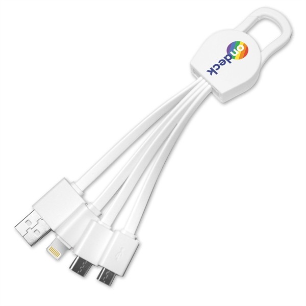 Leyden 4 in1 Charging Cables w/ USB tip for
