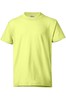 Safety Green