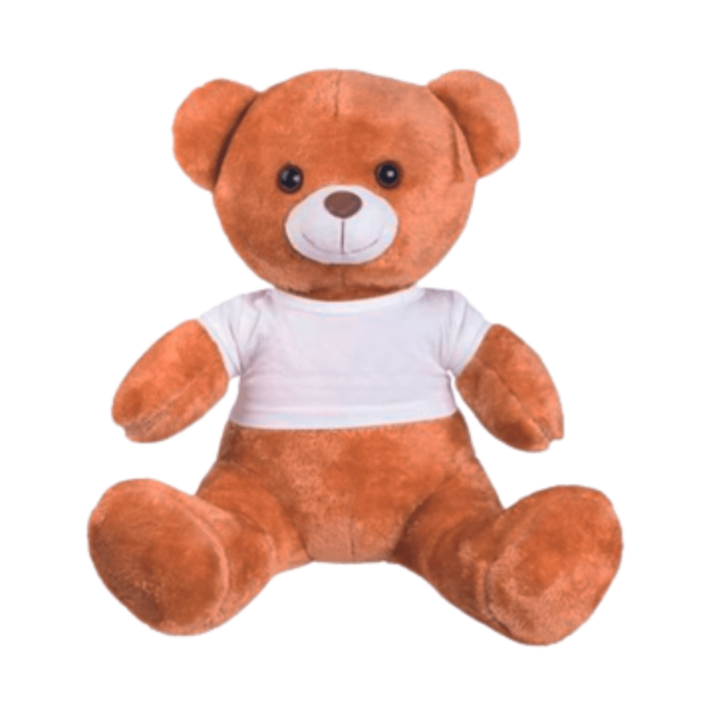 Stuffed Bear Toy in Customizable Shirt for