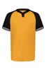 Gold/ Black