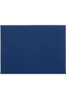 Blue/Silver
